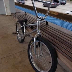 Meet your Posher, Patrick